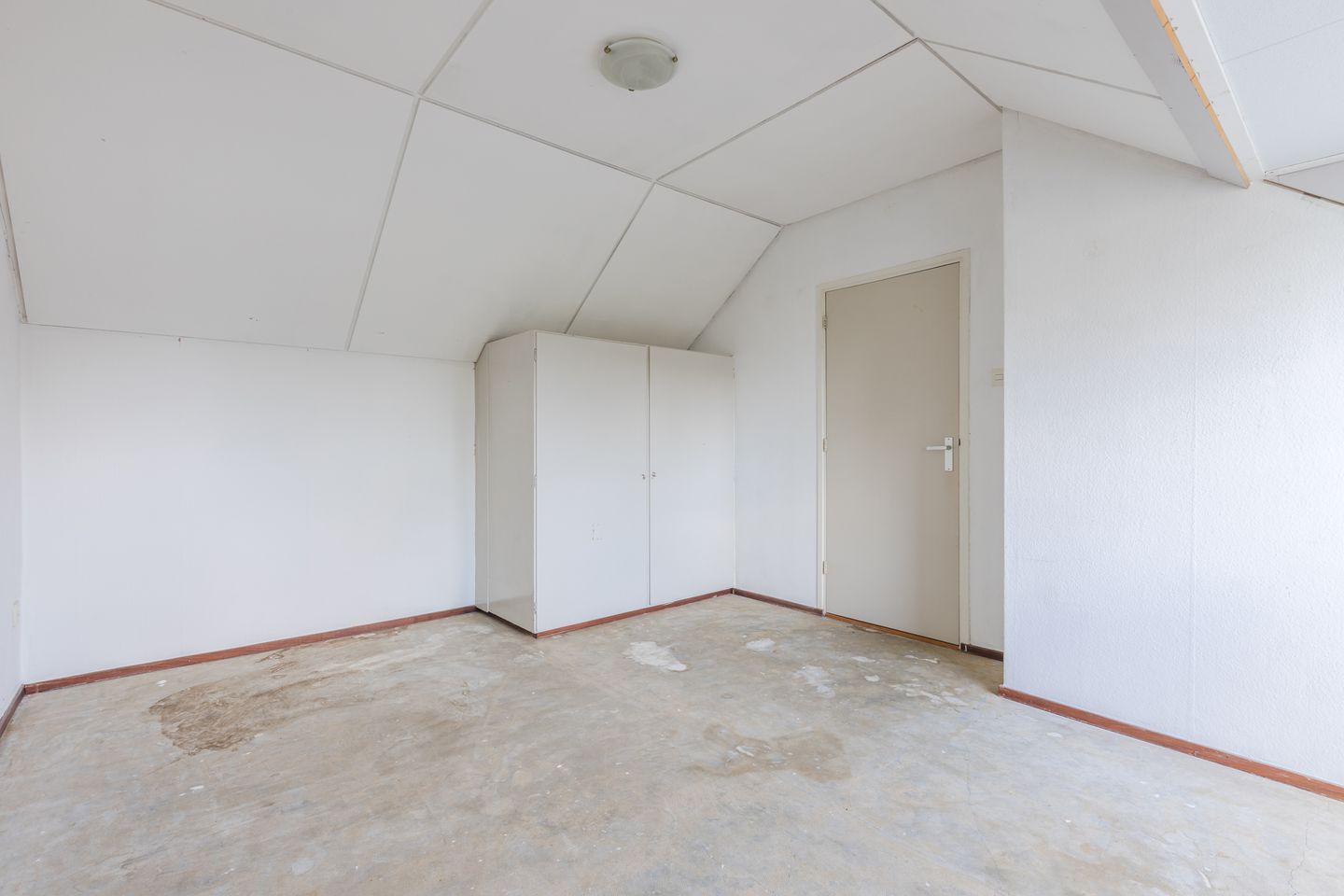 Foto 35 van Treubstraat 76