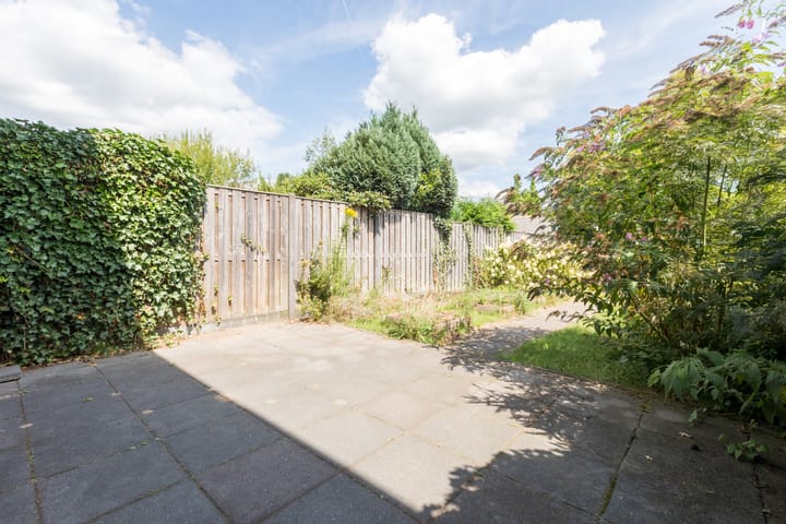 Foto 40 van Treubstraat 76