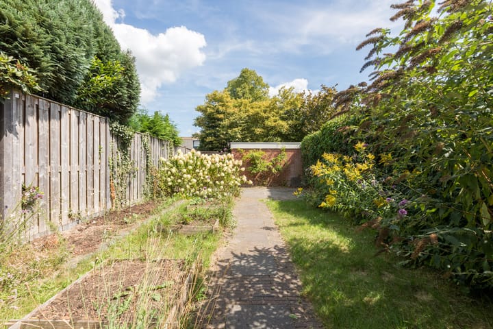 Foto 41 van Treubstraat 76