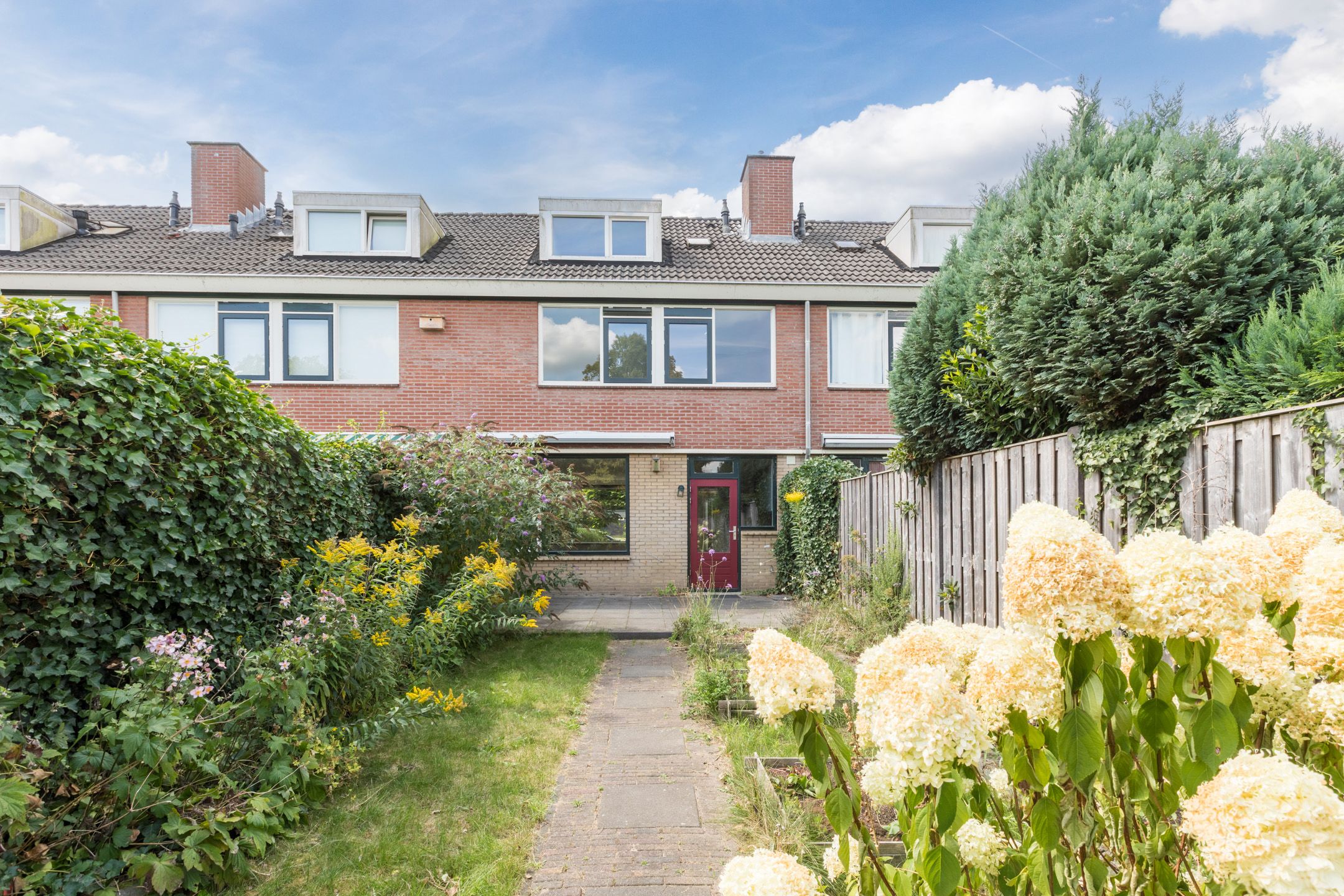 Foto 45 van Treubstraat 76