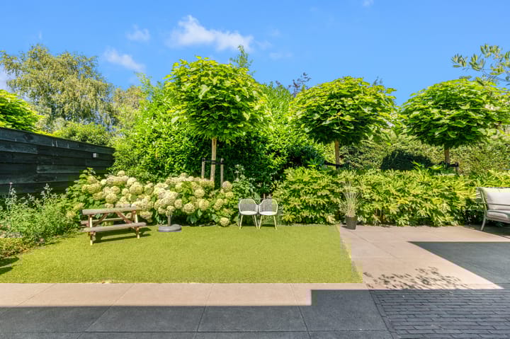 Foto 20 van Roelat 46