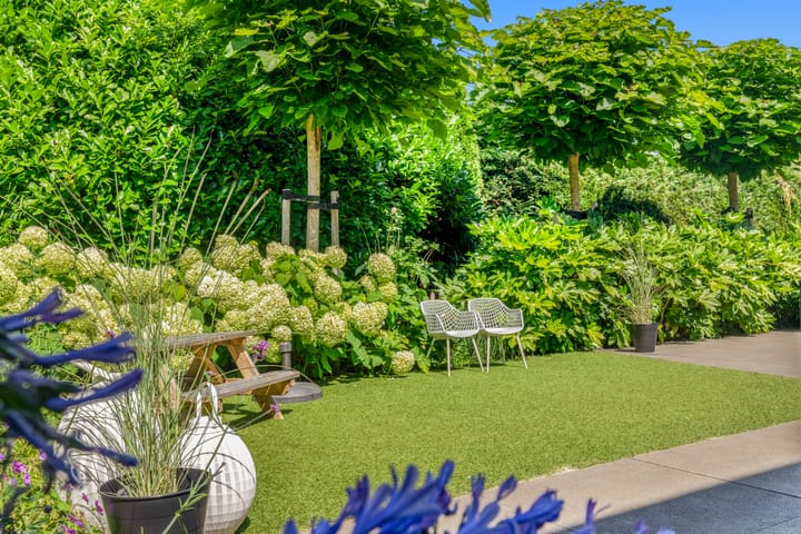 Foto 43 van Roelat 46