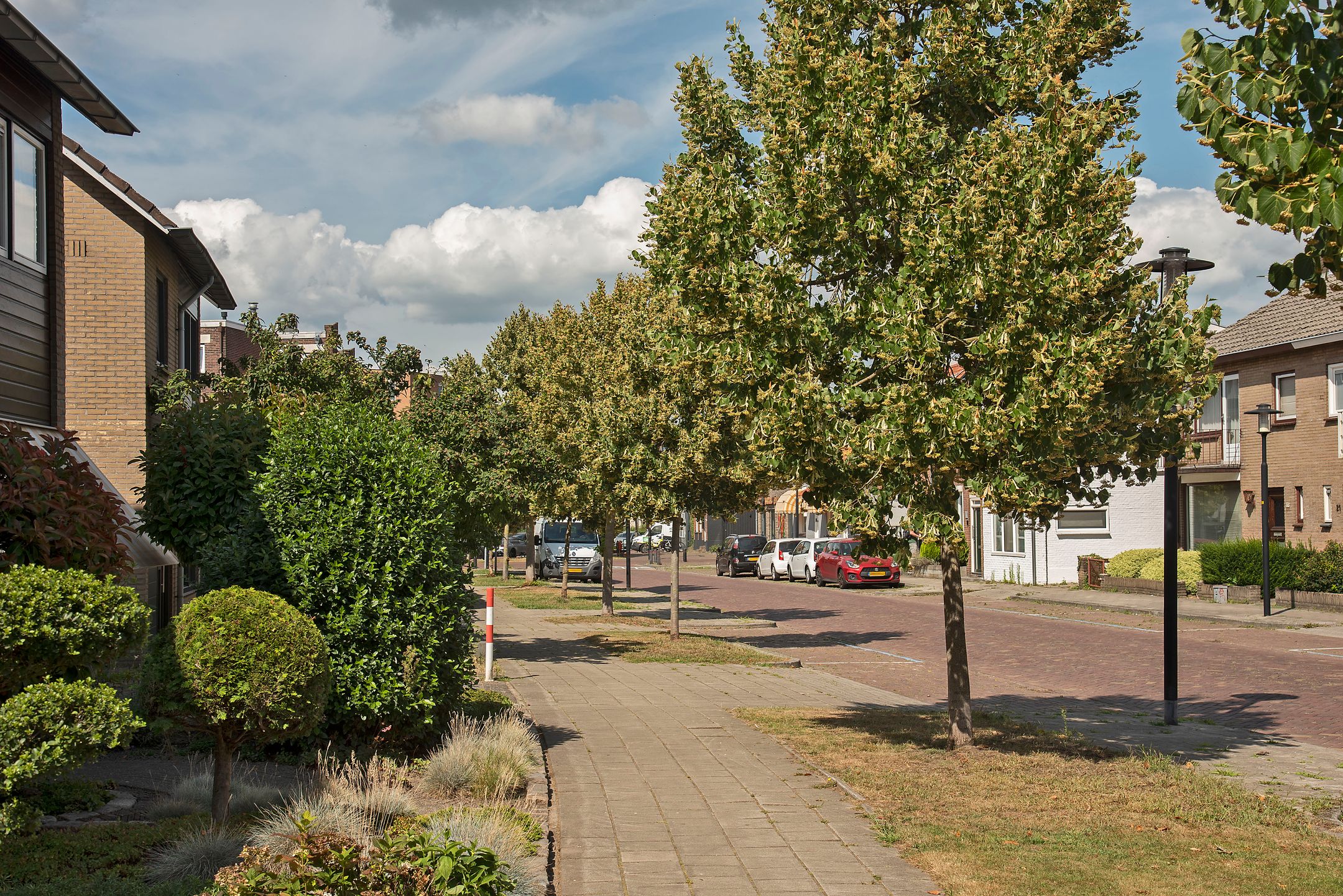 Foto 33 van Loweg 29