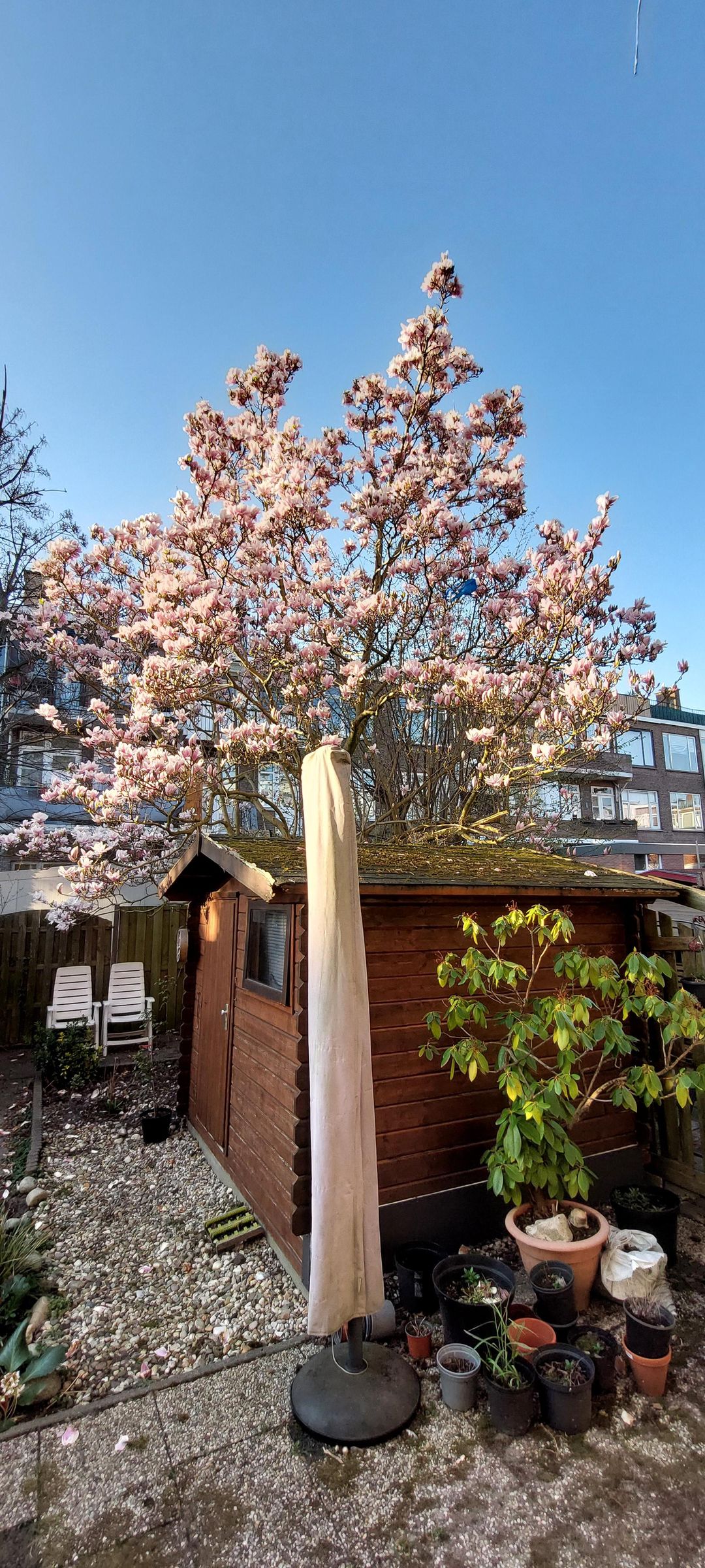 Foto 22 van Jan Wapstraat 99