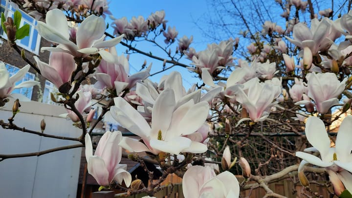 Foto 21 van Jan Wapstraat 99