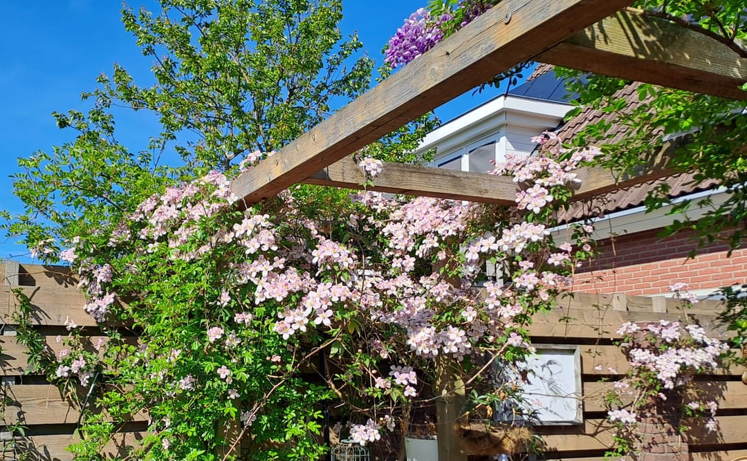 Foto 47 van Korhoenweg 53