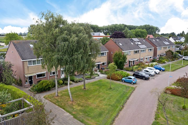 Photo 31 of Hoxma 54