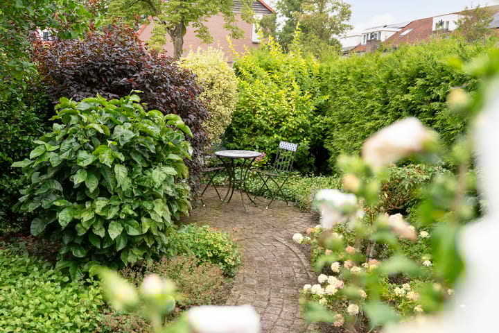 Foto 40 van Tichelmeesterlaan 70