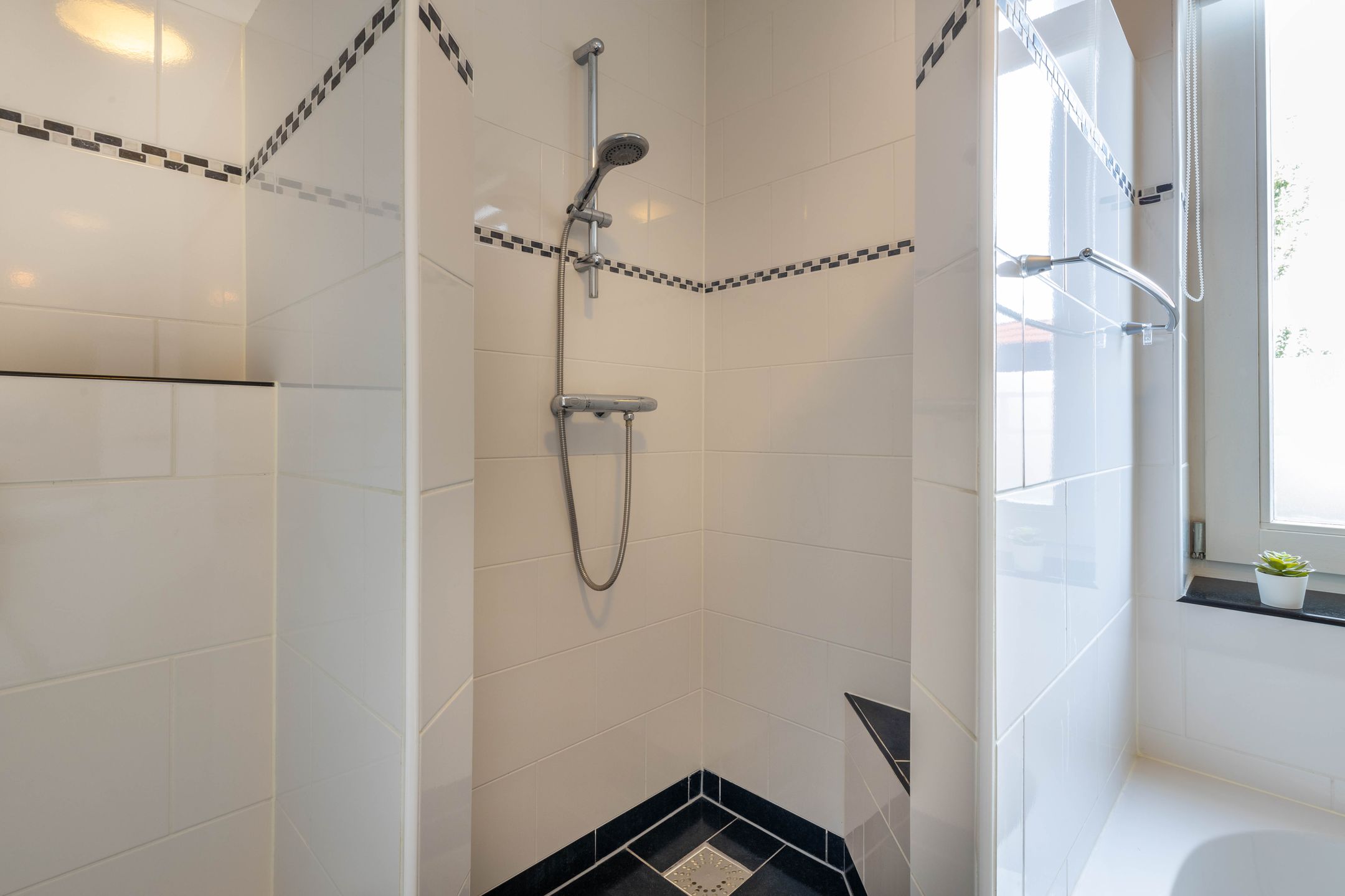 Foto 15 van Slangemuur 4