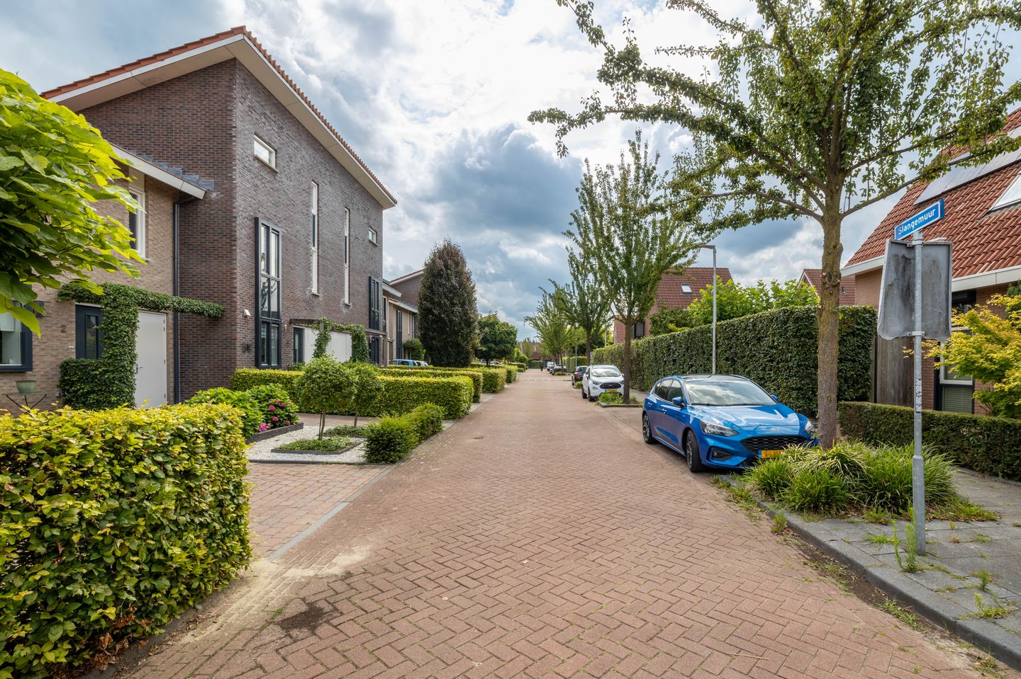 Foto 29 van Slangemuur 4