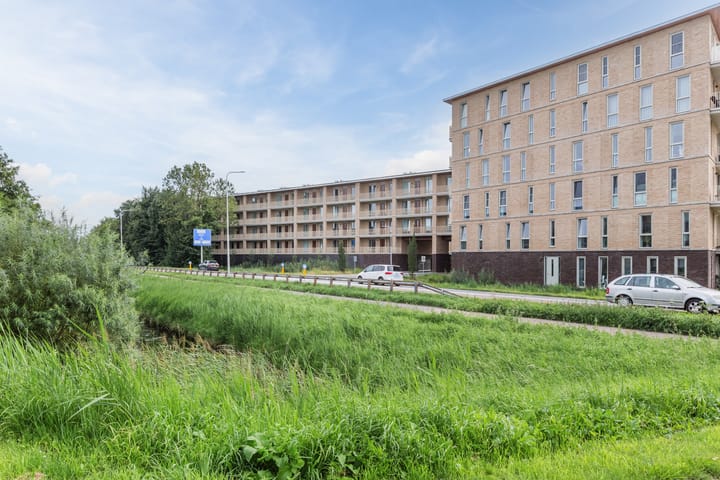 Foto 38 van Buitenhof 90