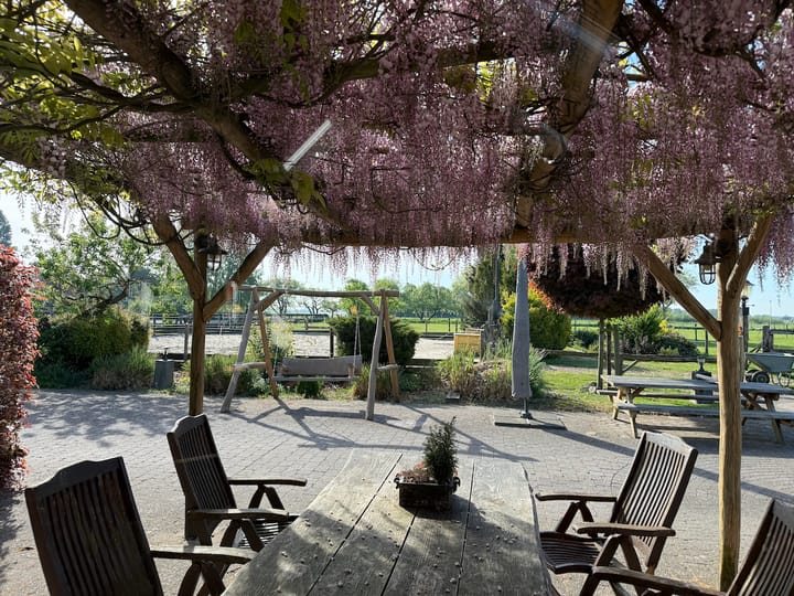 Foto 19 van Boomweg 11