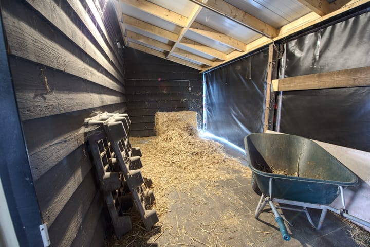 Foto 46 van Boomweg 11