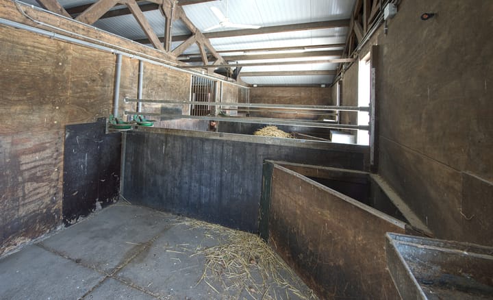 Foto 48 van Boomweg 11