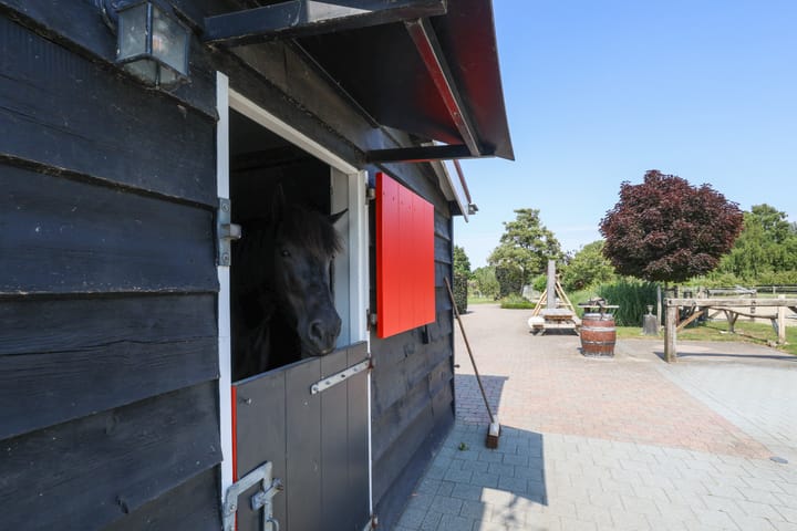 Foto 49 van Boomweg 11