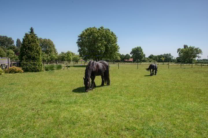 Foto 53 van Boomweg 11
