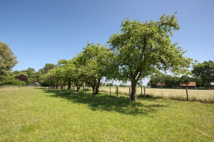 Foto 61 van Boomweg 11