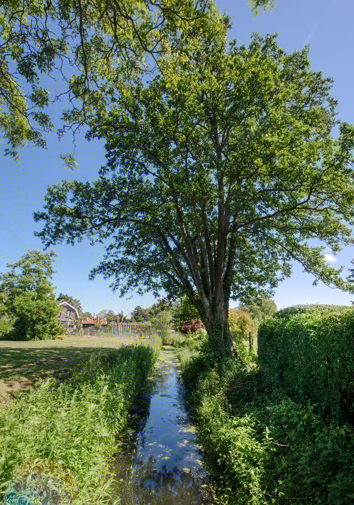 Foto 72 van Boomweg 11