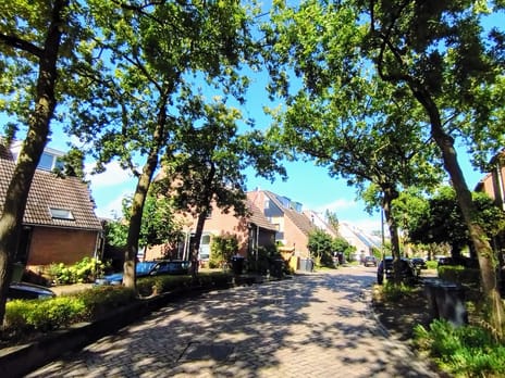 Nienhuis Ruijskade 78 tertiary image