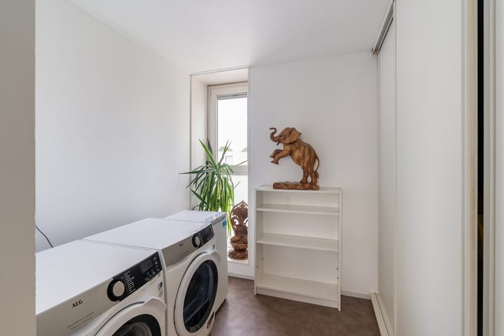 Foto 16 van Scharwater 11