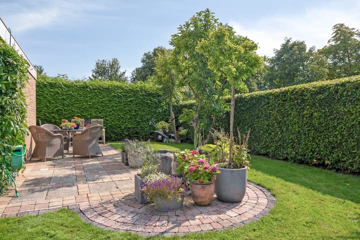 Foto 34 van Punter 18