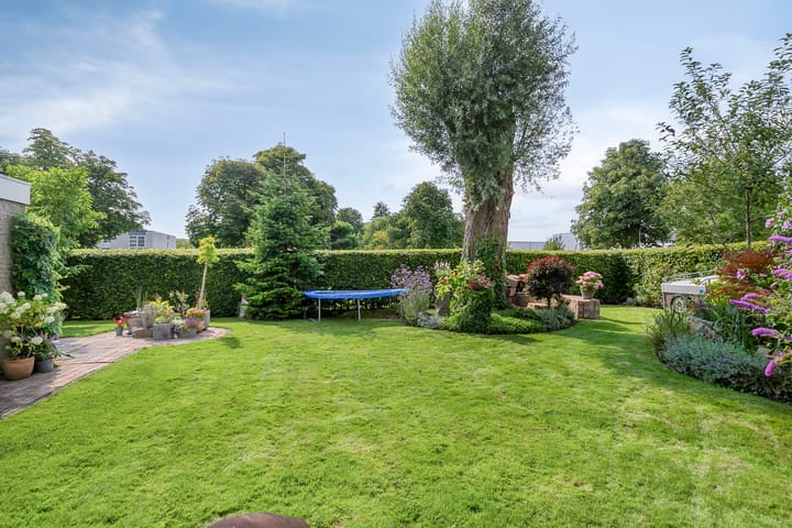 Foto 5 van Punter 18