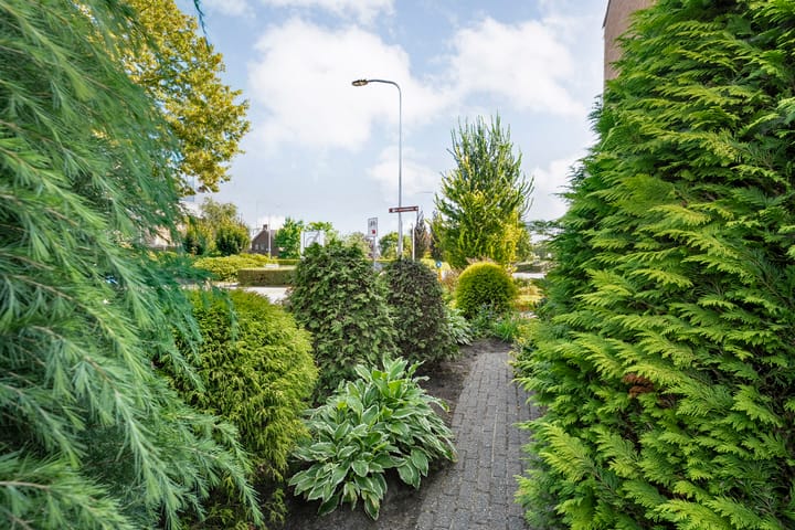 Photo 39 of Molendijk 27