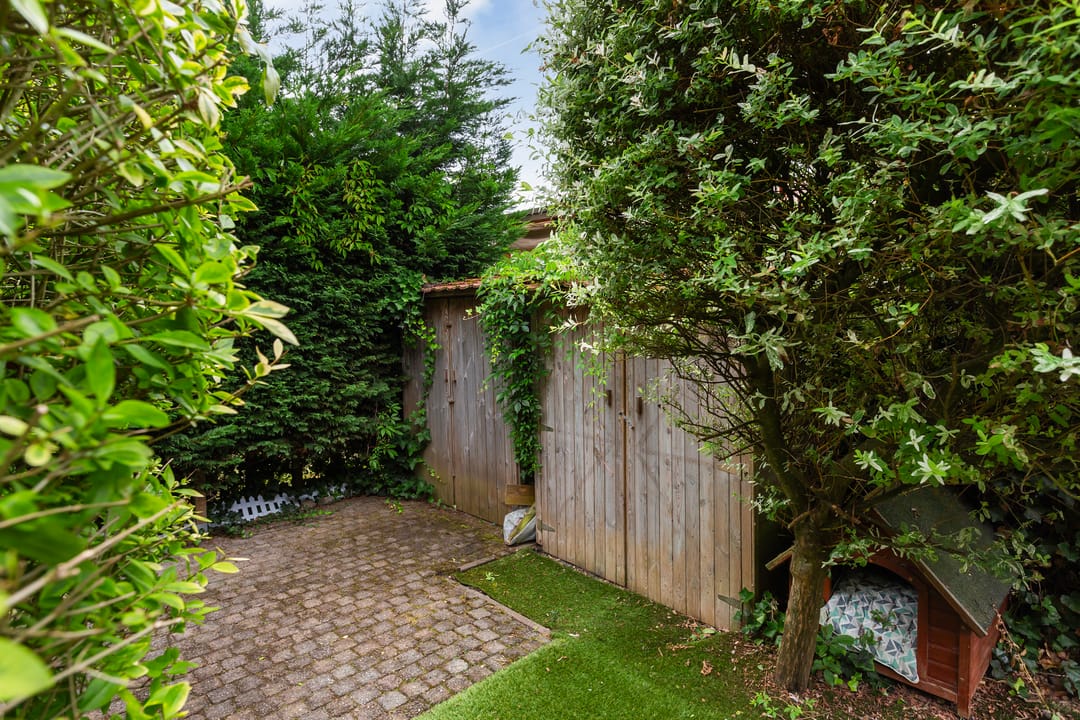 Photo 38 of Cabbeweide 74