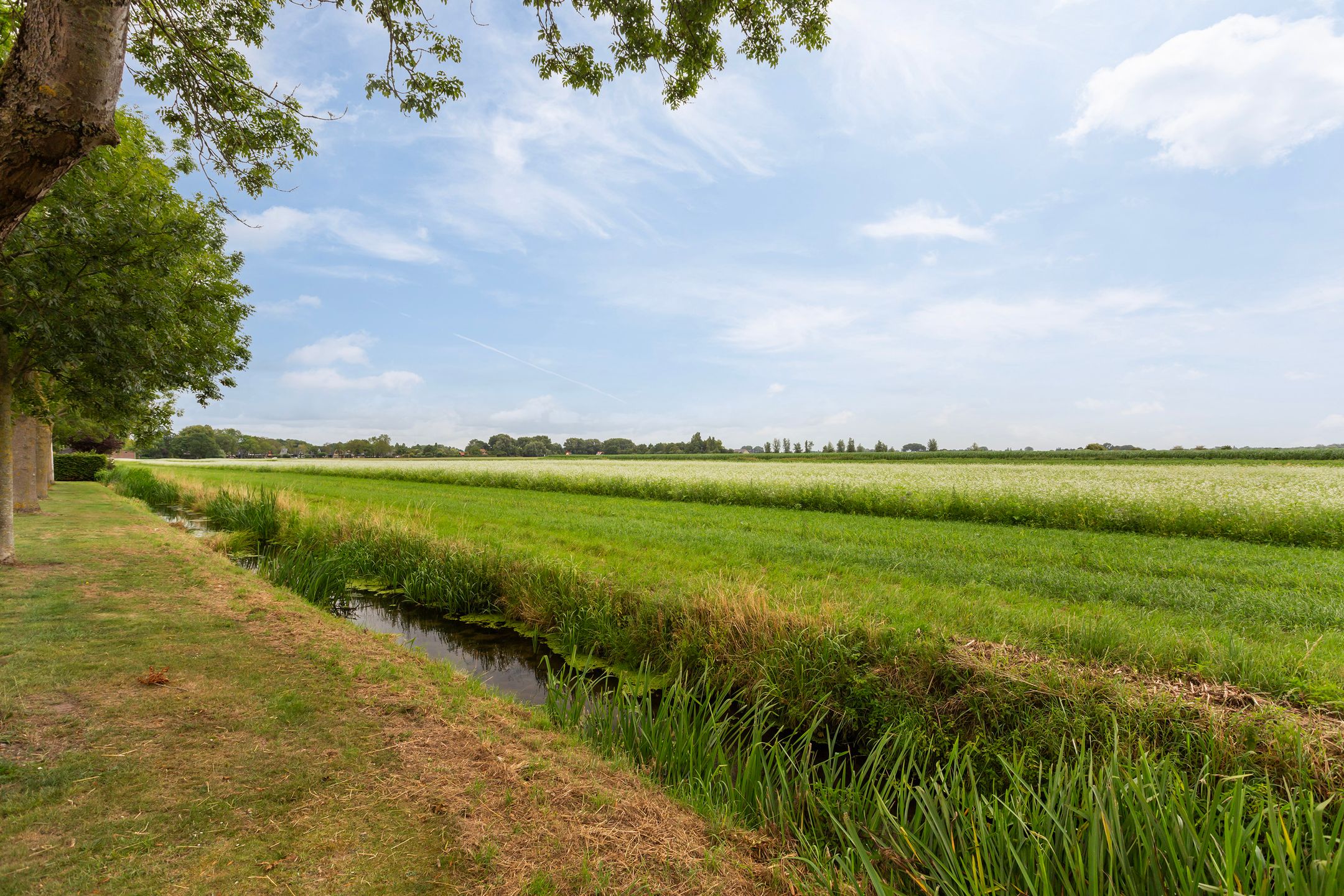 Photo 45 of Cabbeweide 74