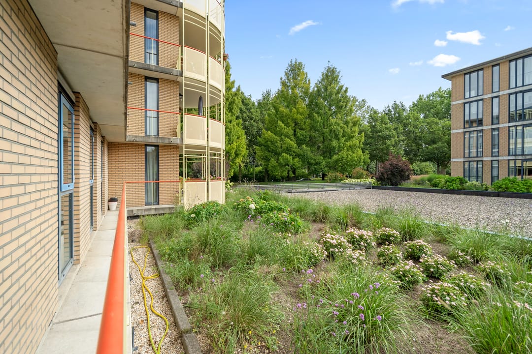 Foto 28 van Zwitserlandstraat 19