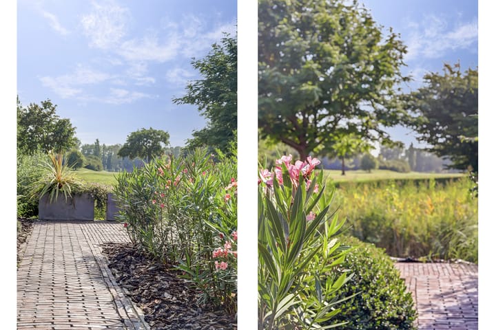 Photo 83 of Grevelingenhout 74