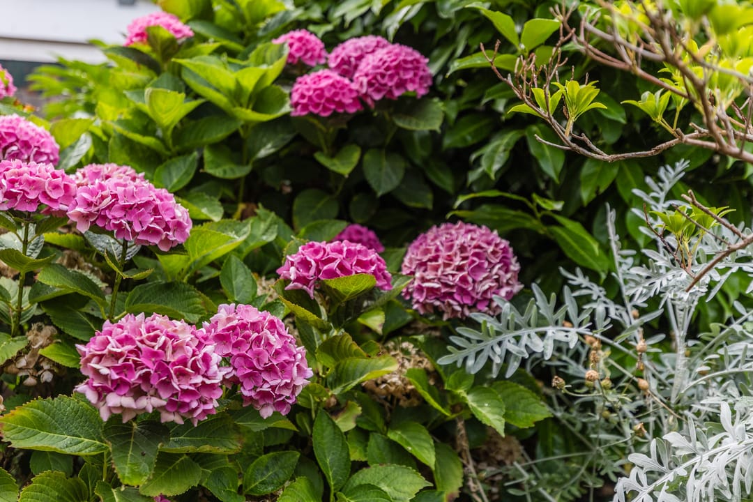 Photo 37 of Renessestraat 20