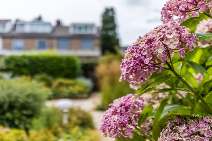 Photo 36 of Renessestraat 20