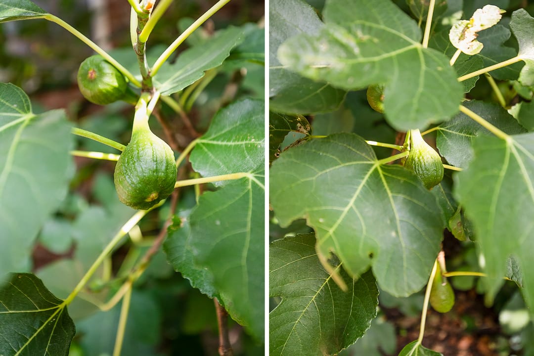 Foto 53 van Peperstraat 15