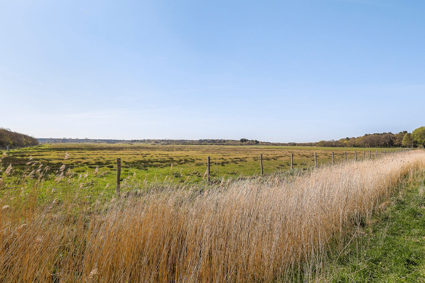 Foto 70 van Peperstraat 15