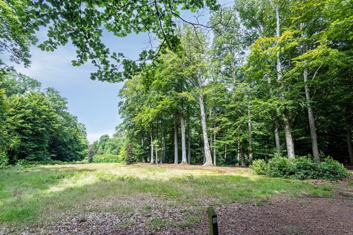 Foto 34 van W. van Graftweg 23