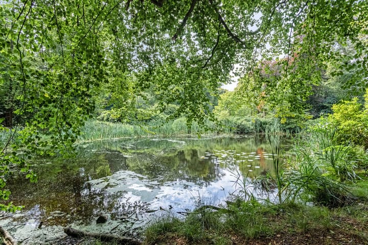 Foto 36 van W. van Graftweg 23