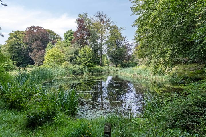 Foto 37 van W. van Graftweg 23