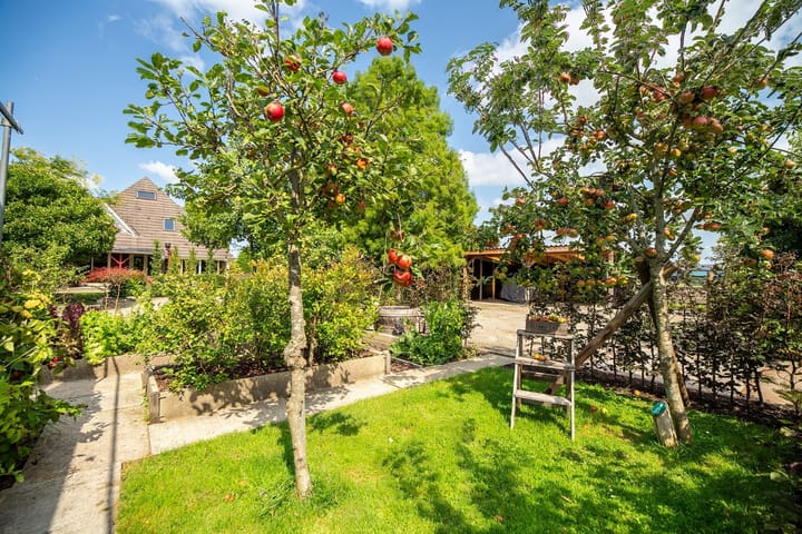 Foto 12 van De Oude Wijk 27