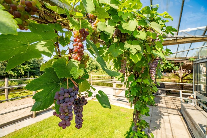 Foto 14 van De Oude Wijk 27