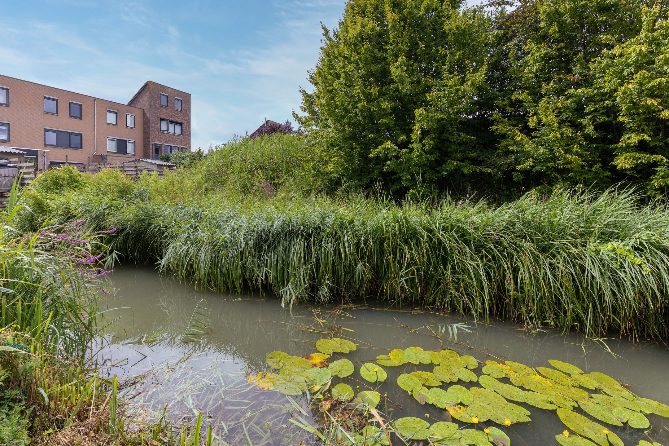 Foto 15 van Charlotte van Pallandthof 96