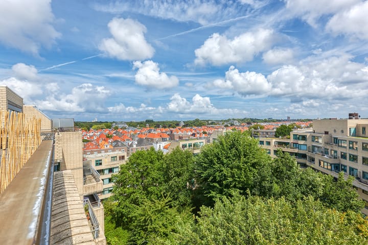 Foto 11 van Burgemeester Patijnlaan 590