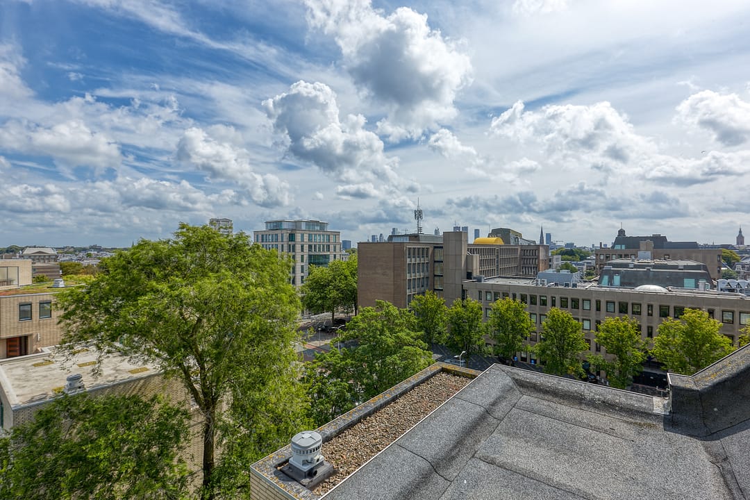 Foto 13 van Burgemeester Patijnlaan 590