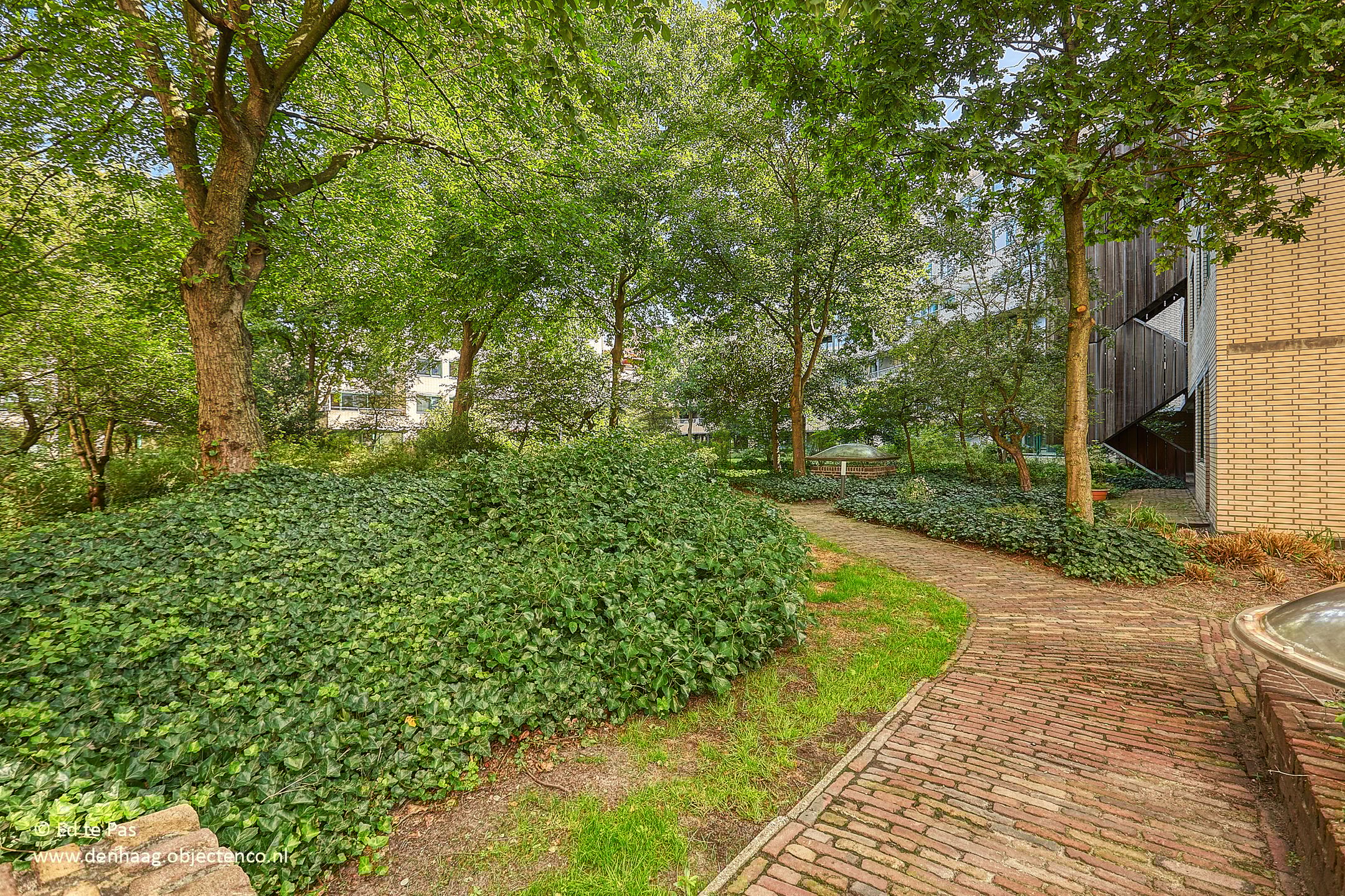 Foto 27 van Burgemeester Patijnlaan 590