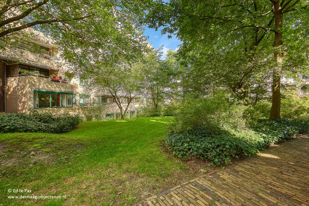 Foto 28 van Burgemeester Patijnlaan 590