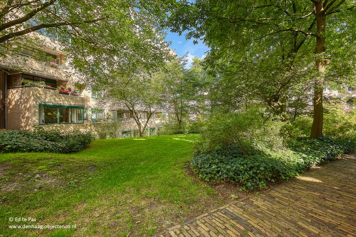 Foto 28 van Burgemeester Patijnlaan 590