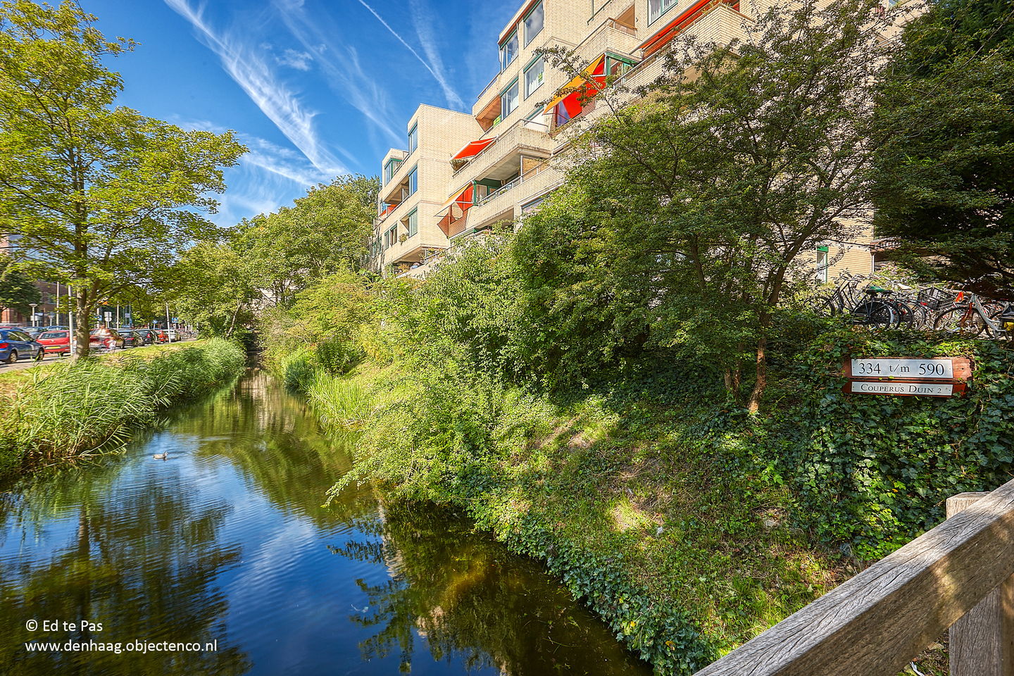 Foto 29 van Burgemeester Patijnlaan 590