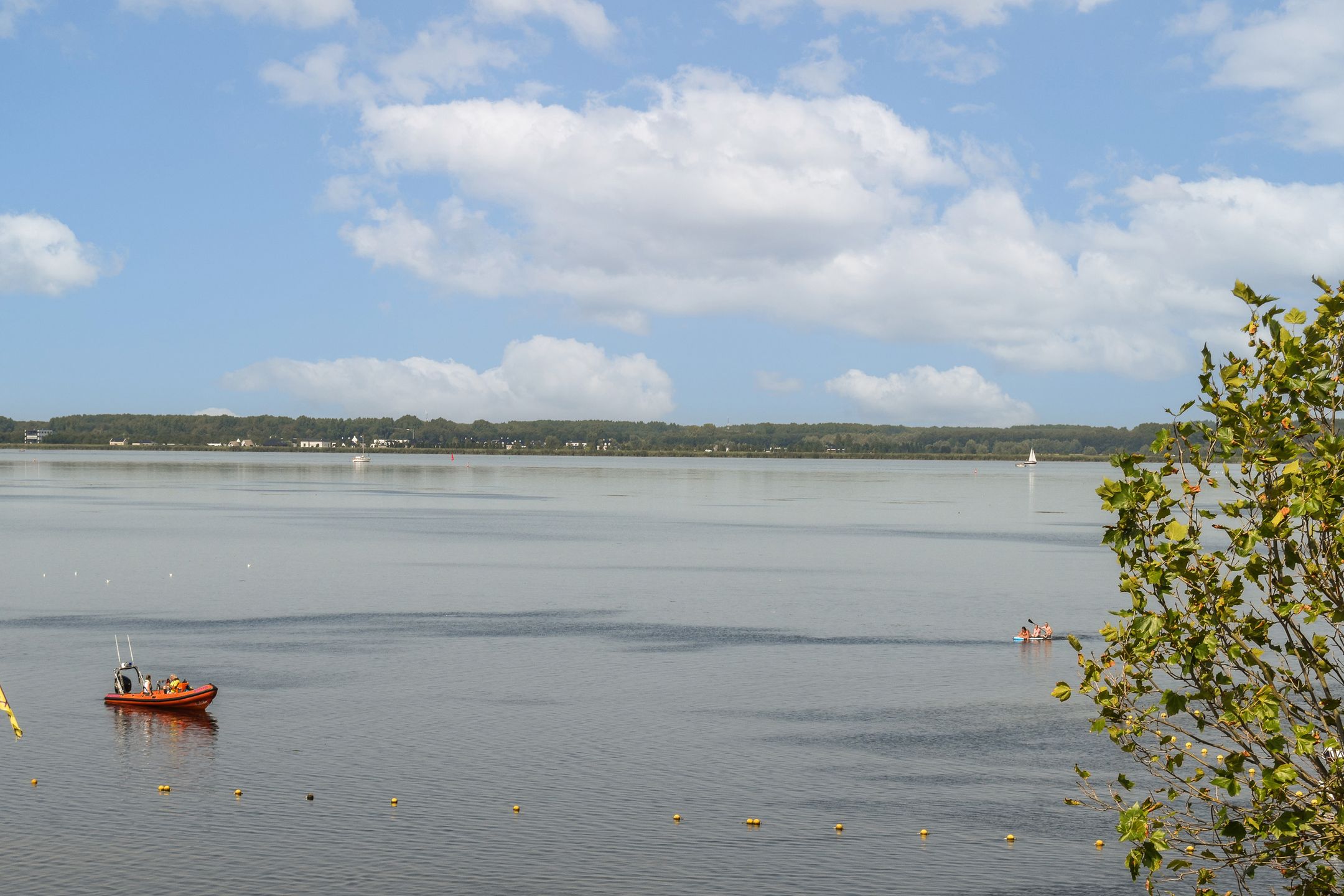 Foto 24 van Wedekuil 51