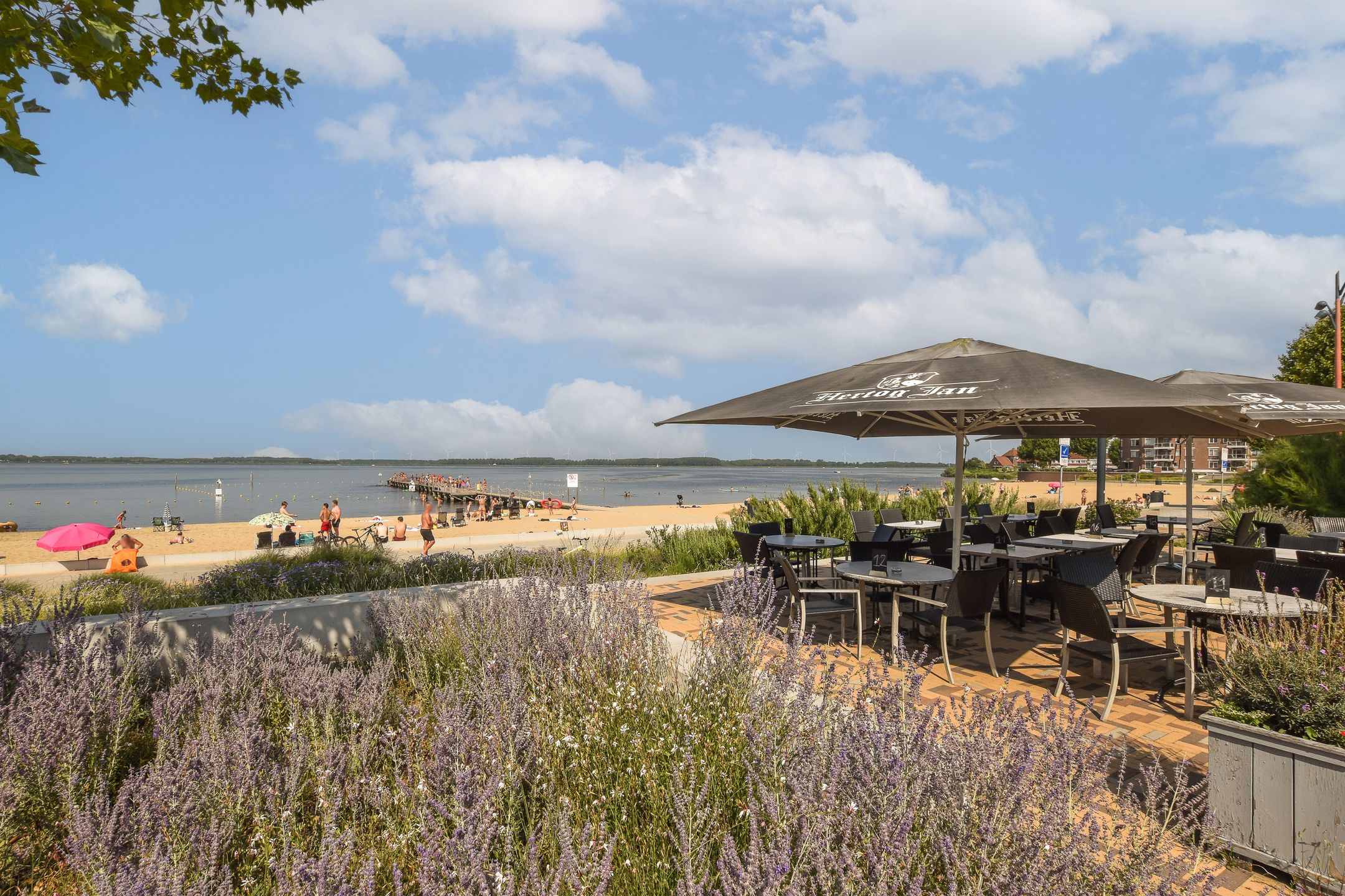 Foto 27 van Wedekuil 51