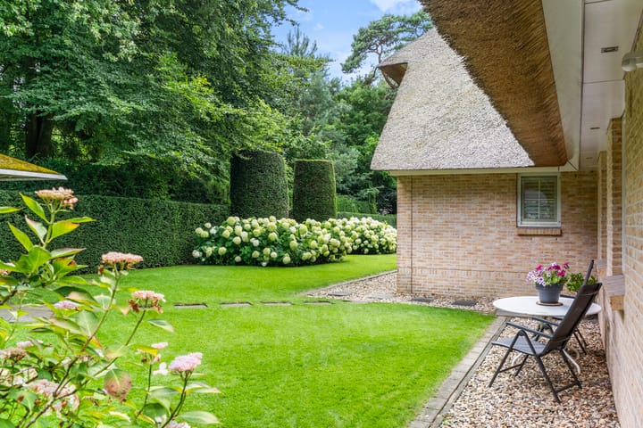 Foto 6 van Utrechtseweg 426